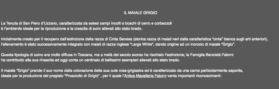  IL MAIALE GRIGIO La Tenuta di San Piero d’Uzzano, caratterizzata da estesi campi incolti e boschi di cerro e corbezzoli è l’ambiente ideale per la riproduzione e la crescita di suini allevati allo stato brado. Inizialmente creato per il recupero dall’estinzione della razza di Cinta Senese (storica razza di maiali neri dalla caratteristica “cinta” bianca sugli arti anteriori), l’allevamento è stato successivamente integrato con maiali di razza inglese “Large White”, dando origine ad un incrocio di maiale “Grigio”. Questa tipologia di suino era molto diffusa in Toscana, ma a metà del secolo scorso ha rischiato l’estinzione; la Famiglia Bencistà Falorni ha contribuito alla sua rinascita ed oggi conta un centinaio di bellissimi esemplari allevati allo stato brado. Il maiale “Grigio” prende il suo nome dalla colorazione della sua cute rosa-grigiastra ed è caratterizzato da una carne particolarmente saporita, ideale per la produzione del pregiato “Prosciutto di Grigio” , per il quale l’Antica Macelleria Falorni vanta importanti riconoscimenti. 